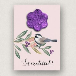 Birdy mintás ültethető képeslap "Szeretettel" felirattal és ráhelyezett levehető magbonbon formával, színes borítékkal.
