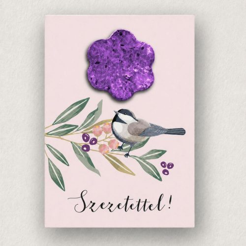 Birdy mintás ültethető képeslap "Szeretettel" felirattal és ráhelyezett levehető magbonbon formával, színes borítékkal.